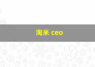 淘米 ceo